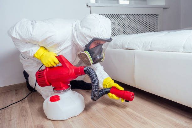 Best Flea Control Services  in Sleepy Hollow, CA