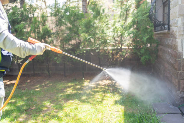 Best Pest Prevention Services  in Sleepy Hollow, CA