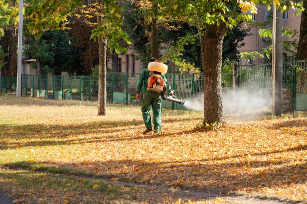 Best Residential Pest Control  in Sleepy Hollow, CA