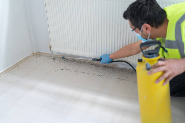 Pest Control for Restaurants in Sleepy Hollow, CA